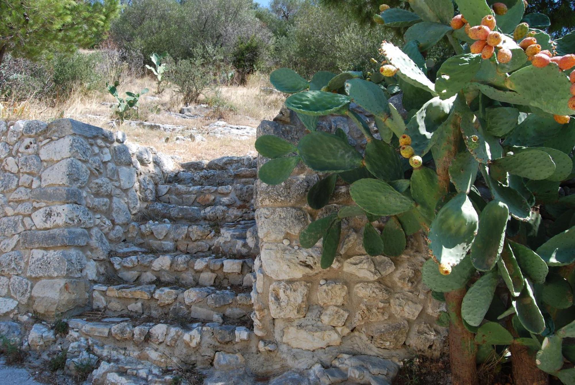 Вилла Agriturismo Madonna Incoronata Маттината Экстерьер фото